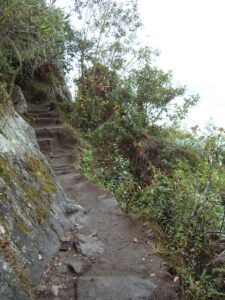 The trail to Huayna Picchu