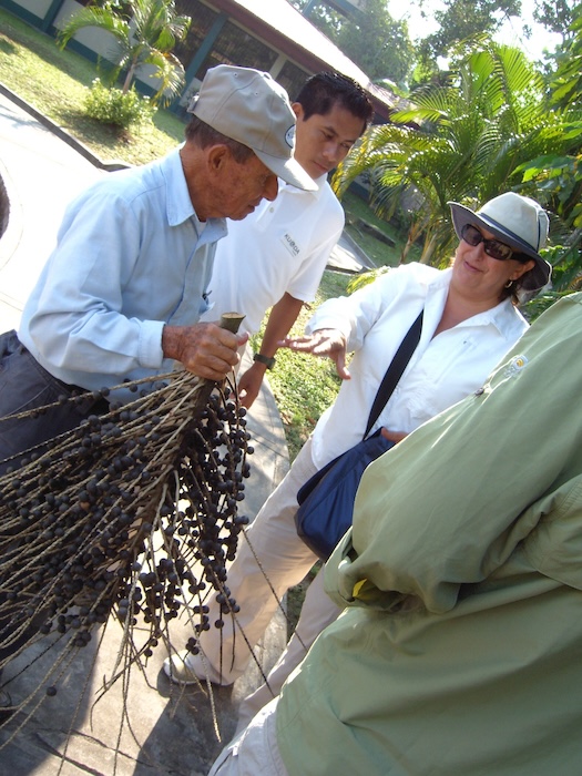 Greeted on our arrival to Iquitos with the famous acai berry