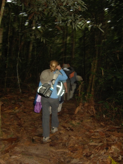 going on a night hike