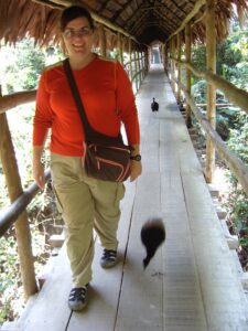 birds walking along with me on walkway