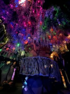 Giant tree in Meow Wolf