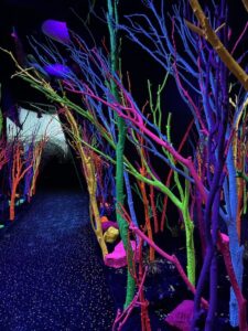 Neon trees in Meow Wolf